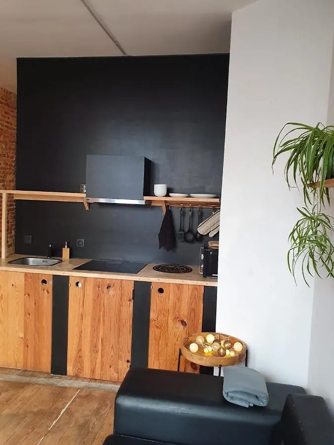 Den Gulden Hoorn Apartment Antwerp
